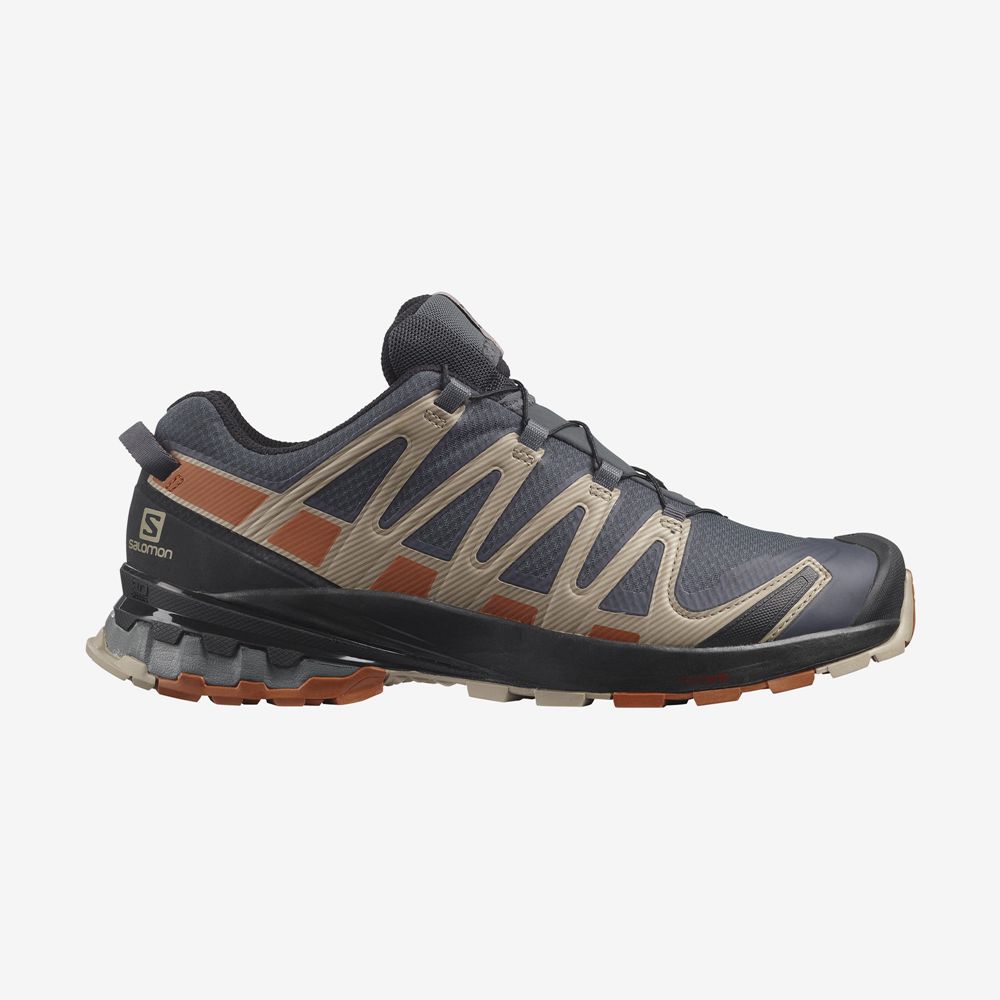 Salomon Israel XA PRO 3D V8 GORE-TEX - Mens Trail Running Shoes - Multicolor (MXGL-95437)